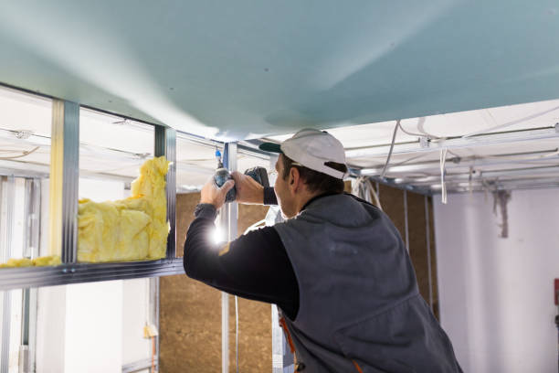 Best Residential Insulation in Leavenworth, KS
